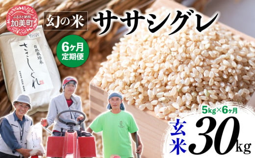 《 先行予約 》 【 6回 定期便 】ササシグレ 玄米 5kg × 6回 （ 合計 30kg ） 1455620 - 宮城県加美町