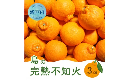 【先行受付】瀬戸内 島の不知火 約3kg 白鷺農園《2025年2月下旬-4月上旬頃出荷》 デコポン と同品種  旬 柑橘 フルーツ 果物 しらぬい デコポン 贈答 不知火 164001 1457143 - 広島県三原市