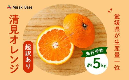 【先行受付】【※超訳あり】清見オレンジ 5kg | みかん 柑橘 ミカン 蜜柑 mikan 果物 フルーツ 糖度 甘い きよみ タンゴール 温州 オレンジ ミックス 愛媛県 伊方町 Misaki Base ※2025年3月中旬～4月中旬頃に順次発送予定 ※離島への配送不可 1213090 - 愛媛県伊方町