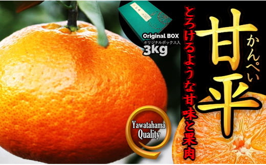 愛媛の“三大高級柑橘”の一つ!「甘平(かんぺい)」約3kg入(化粧箱入)＜D28-10＞【1046130】 393999 - 愛媛県八幡浜市