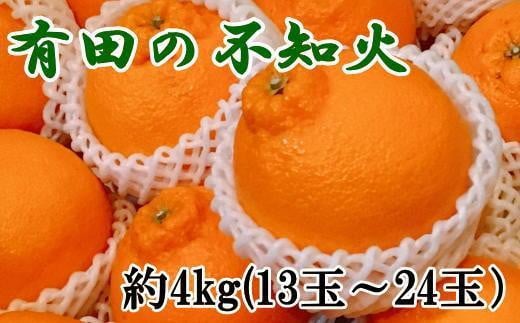 【濃厚】有田の不知火約4kg（13～24玉）★2025年2月上旬～3月下旬頃順次発送【TM31】 1455867 - 和歌山県かつらぎ町