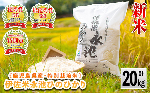 B8-05 令和6年産 新米 特別栽培米 永池ひのひかり(計20kg・5kg×4袋) ふるさと納税 伊佐市 特産品 鹿児島 永池 お米 米 白米 精米 伊佐米 九州米サミット 食味コンテスト 最優秀賞受賞 ヒノヒカリ【エコファーム永池】