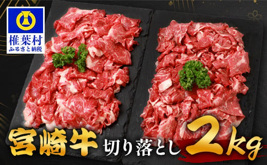 宮崎牛 切り落とし 2kg TK-96 [宮崎県 椎葉村 宮崎牛 和牛 黒毛和牛 牛肉 ぎゅうにく 牛 うし ぎゅう 肉 お肉 にく おにく スライス肉 精肉 切り落とし肉 切り落とし 赤身肉 霜降り肉 2kg 人気 おすすめ 送料無料]