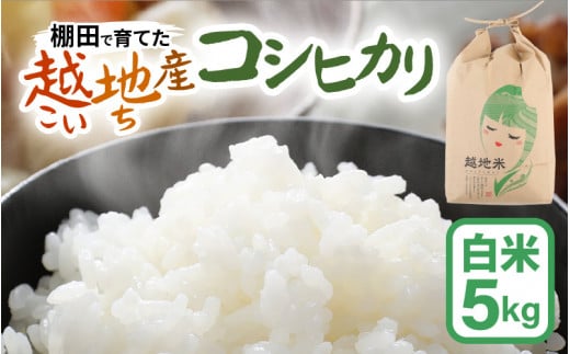 【令和6年 新米】越地 (こいち) 産 コシヒカリ (白米) 計5kg [m24-a008] 1456829 - 福井県美浜町