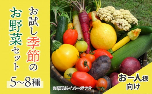 【アグロノーム】季節のお野菜セット（お一人様向け）｜５〜８種類の野菜詰め合わせ 1457096 - 長野県東御市