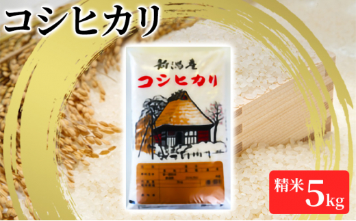 【令和6年産】コシヒカリ精米5kg「従来品種」 1171203 - 新潟県新潟市