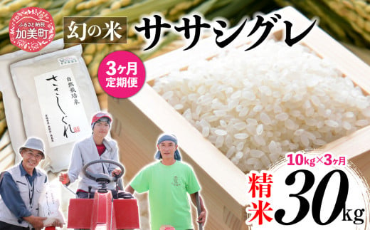 《 先行予約 》 【 3回 定期便 】ササシグレ 精米 10kg × 3回 （ 合計 30kg ） 1455613 - 宮城県加美町