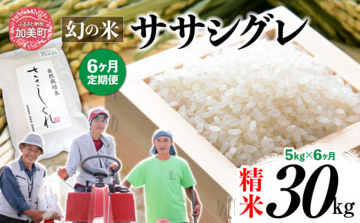 《 希少品種米 》 新米 米 令和6年 ササシグレ ( 栽培期間中農薬・肥料不使用 ) 【 6回 定期便 】 精米 白米 5kg × 6ヶ月 （ 合計 30kg ）｜ 宮城県 加美町 お米 こめ コメ ささしぐれ ササニシキ の 父 ｜ nt00001-r6-5kg-6 1455611 - 宮城県加美町