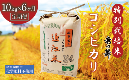 【定期便６回コース】 新米 こしひかり 白米 10kg×6回  2024年産 竜の舞 化学肥料不使用 特別栽培米 国産 安心 安全 近江米 米 お米 白米 お弁当 玄米 産地直送 滋賀県 竜王町 送料無料