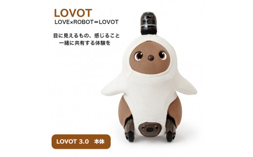 No.240617-01 LOVOT 3.0　(ちゃ) 1091738 - 静岡県伊豆の国市