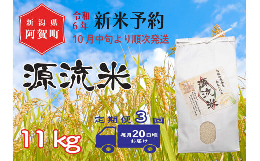 《令和6年産米》【定期便】3回　源流米　コシヒカリ11kg（1袋） ～七福の恵をあなたにも～	 1412133 - 新潟県阿賀町