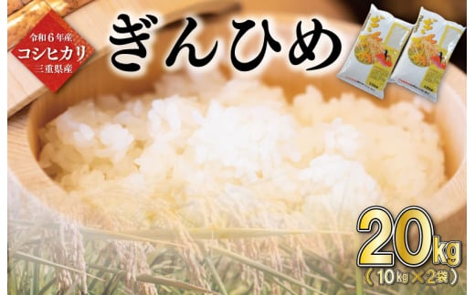 三重県産 コシヒカリ ぎんひめ 精米 10kg×2袋 （ 合計 20kg ) ふるさと納税 ふるさと 米 コメ こめ おこめ ギフト プレゼント 贈答 贈り物 御祝い お祝い返礼品 人気 お取り寄せ 三重米 お米 新米 白米 ブランド米 ふるさと納税 ふるさと 国産 JA 1344397 - 三重県明和町