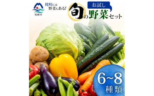 枕崎には野菜もある!!定番・旬のお試し野菜セット　A0-38【1535821】