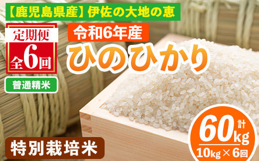 isa517-A 【定期便6回】 ＜普通精米＞選べる精米方法！令和6年産 鹿児島県伊佐産 特別栽培ひのひかり(計60kg・10kg×6ヵ月) 国産 白米 精米 伊佐米 お米 米 生産者 ひのひかり 定期便 新米【Farm-K】 1116970 - 鹿児島県伊佐市