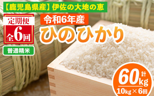 isa520-A 【定期便6回】 ＜普通精米＞選べる精米方法！令和6年産 鹿児島県伊佐南浦産ひのひかり (合計60kg・計10kg×6ヵ月) 国産 白米 精米 伊佐米 お米 米 生産者 定期便 ひのひかり 新米【Farm-K】 1117010 - 鹿児島県伊佐市