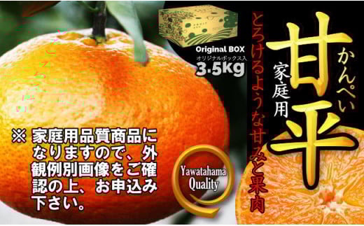 愛媛の“三大高級柑橘”の一つ!「甘平(かんぺい)」約3.5kg入＜訳あり＞＜C28-23＞【1046128】 394062 - 愛媛県八幡浜市