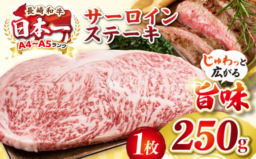 【A4〜A5ランク】長崎和牛 サーロインステーキ 250g（250g×1枚）《壱岐市》【株式会社MEAT PLUS】 肉 牛肉 黒毛和牛 サーロイン ステーキ ご褒美 ギフト 贈答用 ご褒美 冷凍配送 A4 A5 [JGH023] 1455797 - 長崎県壱岐市