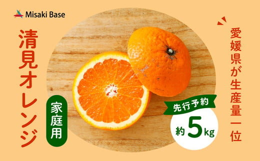 【先行受付】【家庭用】清見オレンジ 5kg | みかん 柑橘 ミカン 蜜柑 mikan 果物 フルーツ 糖度 甘い きよみ タンゴール 温州 オレンジ ミックス 愛媛県 伊方町 Misaki Base ※2025年3月中旬～4月中旬頃に順次発送予定 ※離島への配送不可 1213088 - 愛媛県伊方町