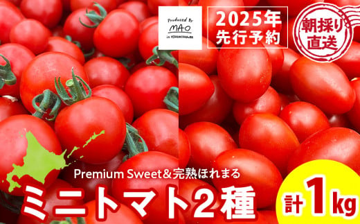 朝採りフルーツミニトマト＆完熟ほれまる ミニトマト 1kg 1457019 - 北海道東神楽町