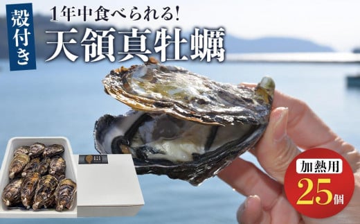 小豆島 天領真牡蠣 (殻付き加熱用) 25個セット 1439566 - 香川県小豆島町