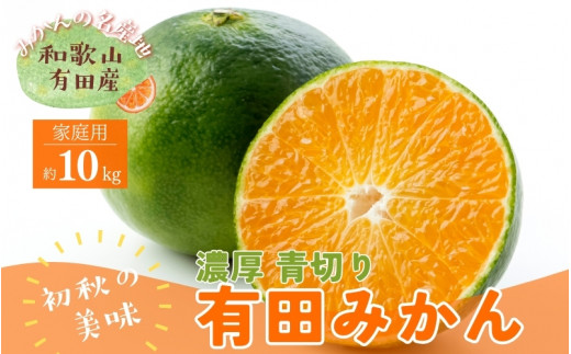 【先行予約】【2024年9月中旬～10月中旬頃発送予定】【初秋の美味】【農家直送】有田育ちのご家庭用訳あり濃厚青切り有田みかん　約１０kg【ard046B】 765418 - 和歌山県古座川町