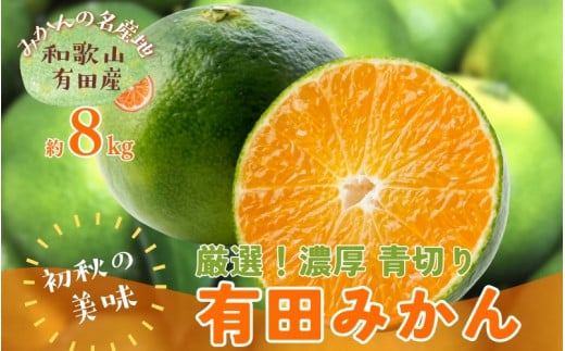 【先行予約】【2024年9月中旬～10月中旬頃発送予定】【初秋の美味】【農家直送】厳選!濃厚青切り有田みかん　約８kg【ard044B】 765416 - 和歌山県古座川町