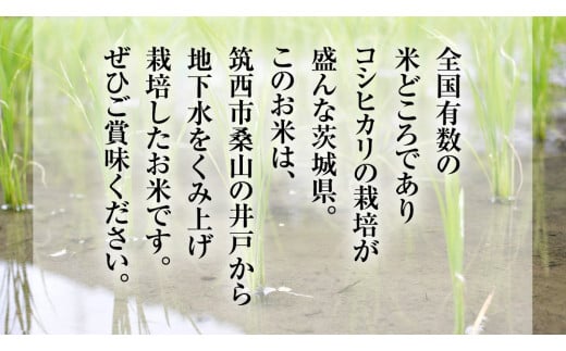 地下水100％で作る美味しい 「 コシヒカリ 」 30kg ( 玄米 ) 令和6年産 新米 米 お米 コメ こしひかり 茨城県 精米 新生活 応援  [DU014ci] - 茨城県筑西市｜ふるさとチョイス - ふるさと納税サイト