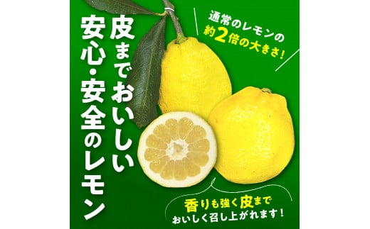 限定100セット】GSGレモン～残留農薬不検出～ 約3kg 檸檬 レモン 果物 柑橘 フルーツ 生産量日本一の広島 産地直送 先行予約 送料無料 呉市  - 広島県呉市｜ふるさとチョイス - ふるさと納税サイト