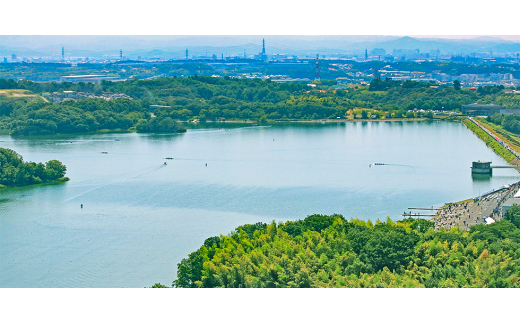 愛知県東郷町のふるさと納税 3cmに縮む水切りラック【1477786】