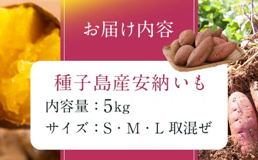 鹿児島県中種子町のふるさと納税 ＜先行予約＞【安納大地】完熟吊し生芋　安納芋5kg【焼き芋 焼芋 やきいも さつまいも さつま芋 生芋 完熟 熟成 蜜 しっとり 甘い 安納いも 国産 鹿児島県産 種子島産 中種子町 送料無料 N162】