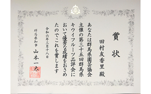 群馬県下仁田町のふるさと納税 ＜先行予約＞ 群馬県知事賞 最高賞受賞「A品数量限定」下仁田町のキウイフルーツ 約3.6kg(1玉2Lサイズ135g以上) キウイ フルーツ キウイフルーツ デザート 果物 贈答品としても人気！ F21K-360