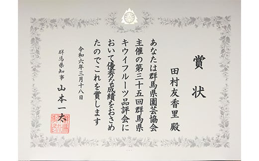 群馬県下仁田町のふるさと納税 ＜先行予約＞ 群馬県知事賞 最高賞受賞「A品数量限定」下仁田町のキウイフルーツ 約3.6kg(1玉3Lサイズ150g以上) キウイ フルーツ キウイフルーツ デザート 果物 贈答品としても人気！ 手土産 おみやげ フレッシュ F21K-331