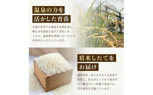 あなたに年貢チケット（つむぎ米1俵）5kgずつ配送【好きなタイミングでご注文可能】 《山本農園》 森町 こめ お米 米 白米 ゆめぴりか 北海道米  北海道産 ふるさと納税 北海道 mr1-0172 - 北海道森町｜ふるさとチョイス - ふるさと納税サイト