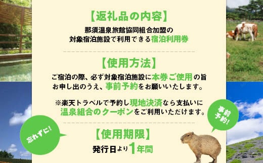 那須温泉旅館協同組合 ご宿泊利用券 9,000円分（3,000円×3枚）〔D-9〕｜宿泊 旅行 チケット 宿泊券 温泉 露天風呂 旅行券 ホテル 観光  国内旅行 那須 栃木県 那須町 - 栃木県那須町｜ふるさとチョイス - ふるさと納税サイト