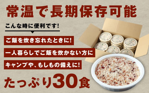 【定期便3ヶ月】阿蘇だわら 十六雑穀ごはん パックライス 160g×30パック