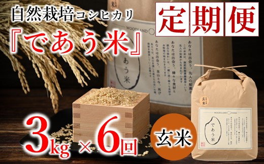 [A261] 【定期便】自然栽培こしひかり「であう米」（玄米）3kg×6回コース