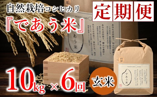 [A269] 【定期便】自然栽培こしひかり「であう米」（玄米）10kg×6回コース