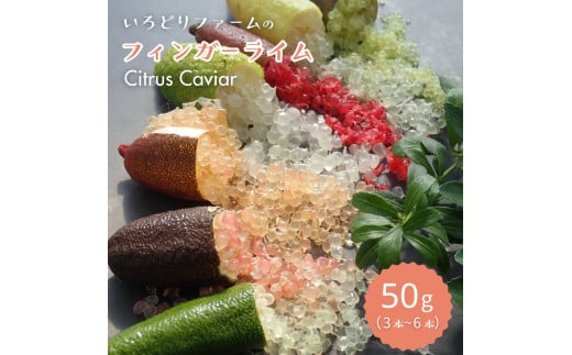 シトラスキャビア ( フィンガーライム )50g(3本〜6本)Citrus Caviar