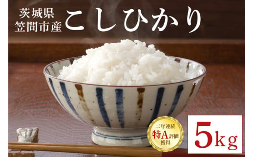 令和6年産 コシヒカリ 5kg 茨城県 笠間市 新米 お米 ご飯 1459453 - 茨城県笠間市