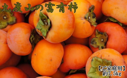 ≪柿の名産地≫九度山の富有柿約7.5kgご家庭用★2024年11月上旬頃より順次発送【TM1】 764544 - 和歌山県和歌山市