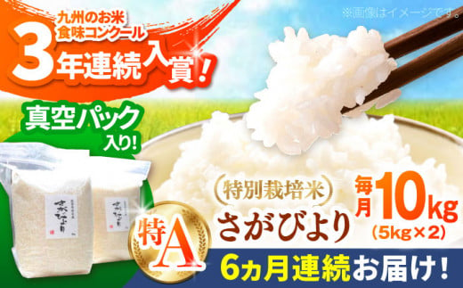 【令和6年産新米】【全6回定期便】【毎月配送】【九州米・食味コンクール3年連続入賞！】こだわりのさがびより 10kg（白米）【白浜農産】米 お米 特別栽培米 佐賀 白石 [IBL017] 1027218 - 佐賀県白石町