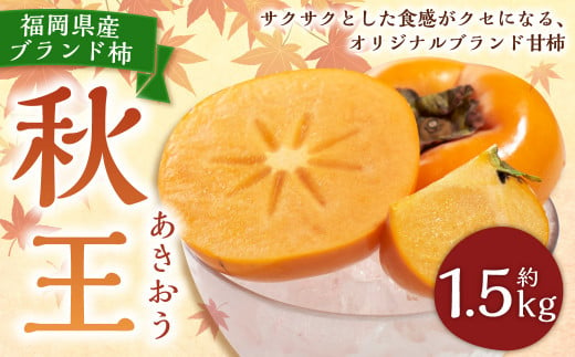 福岡県産ブランド柿・秋王 約1.5kg （4-6玉） 柿 カキ かき 果物 くだもの フルーツ 冷蔵 国産 岡垣町 【2024年10月下旬～11月下旬発送予定】 1419936 - 福岡県岡垣町