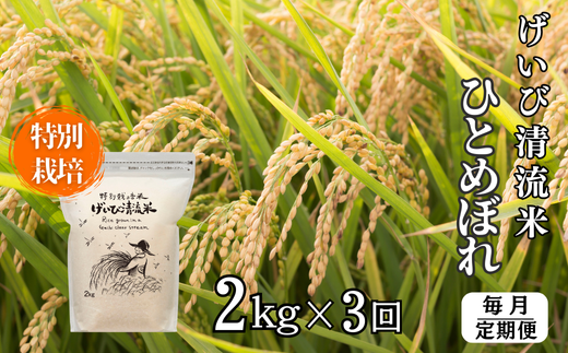 【定期便/3ヵ月】令和6年産 新米 特別栽培 ひとめぼれ 2kg 清流が育んだお米 げいび清流米 1459565 - 岩手県一関市