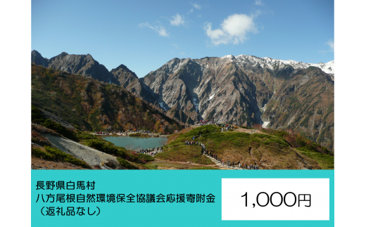 【返礼品なし】八方尾根自然環境保全協議会 応援寄附金 1,000円 1459156 - 長野県白馬村