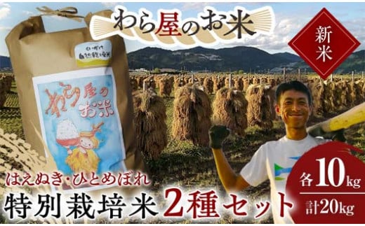 山形県南陽市のふっくら美味しい、山形のご飯｜ふるさとチョイス - ふるさと納税サイト