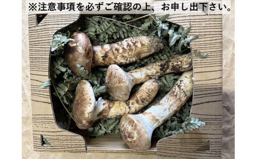 [オンライン決済限定] 諏訪市後山産 松茸 約 200g~250g (※注意事項を必ず確認の上、お申し出下さい)/Suwa後山ブランド化プロジェクト 信州産 まつたけ マツタケ 産地直送 長野 国産 [67-03]