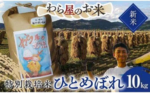 【令和6年産 新米 先行予約】 【わら屋のお米】 特別栽培米 ひとめぼれ 10kg 《令和6年10月下旬～発送》 『おがわ藁農園』 米 白米 精米 ご飯 農家直送 山形県 南陽市  [2071ｰR6] 1460218 - 山形県南陽市