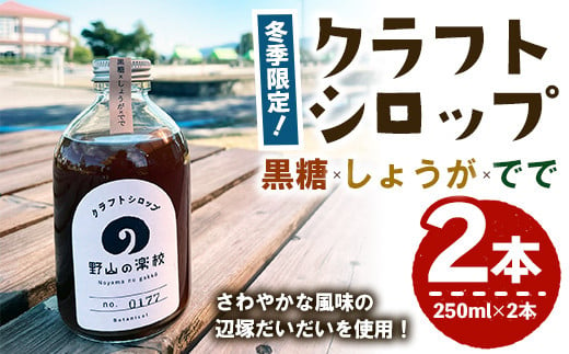 2513 【期間限定】【数量限定】＜2024年10月以降順次発送＞クラフトシロップ(黒糖×しょうが×でで）250ml×2本　シロップ ジンジャーエール 生姜 生姜焼き スパイス 調味料 柑橘 1455851 - 鹿児島県鹿屋市