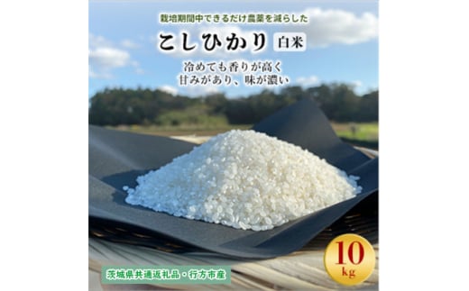 栽培期間中できるだけ農薬を減らした＜こしひかり＞白米10kg茨城共通返礼品・行方産【1541525】 1462004 - 茨城県潮来市