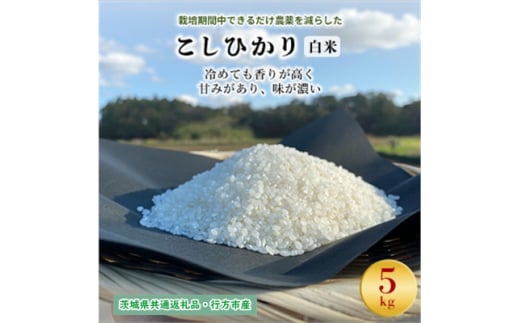 栽培期間中できるだけ農薬を減らした＜こしひかり＞白米5kg茨城共通返礼品・行方産【1541523】 1462002 - 茨城県潮来市